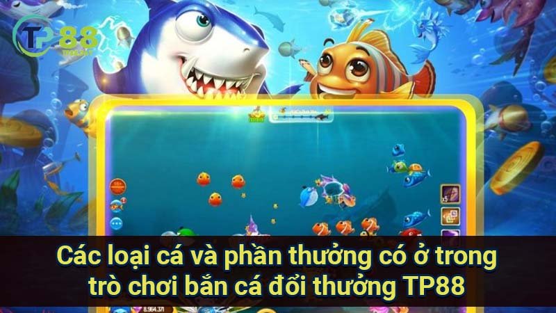 Bắn Cá Đổi Thưởng TP88: Thế Giới Cuốn Hút & Cơ Hội Lợi Nhuận 3 cac-loai-ca-va-phan-thuong-co-o-trong-tro-choi-ban-ca-doi-thuong-tp88