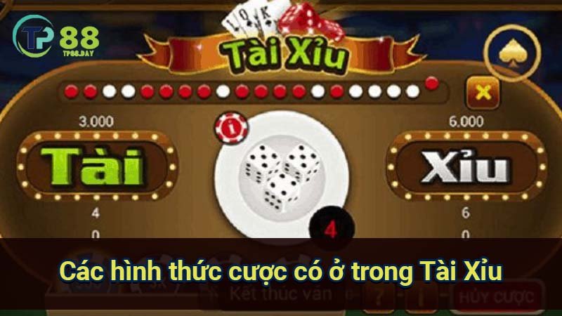Tài Xỉu TP88: Hướng Dẫn Chơi Cực Hay & Kinh Nghiệm Thắng Lớn 3 cac-hinh-thuc-cuoc-co-o-trong-tai-xiu